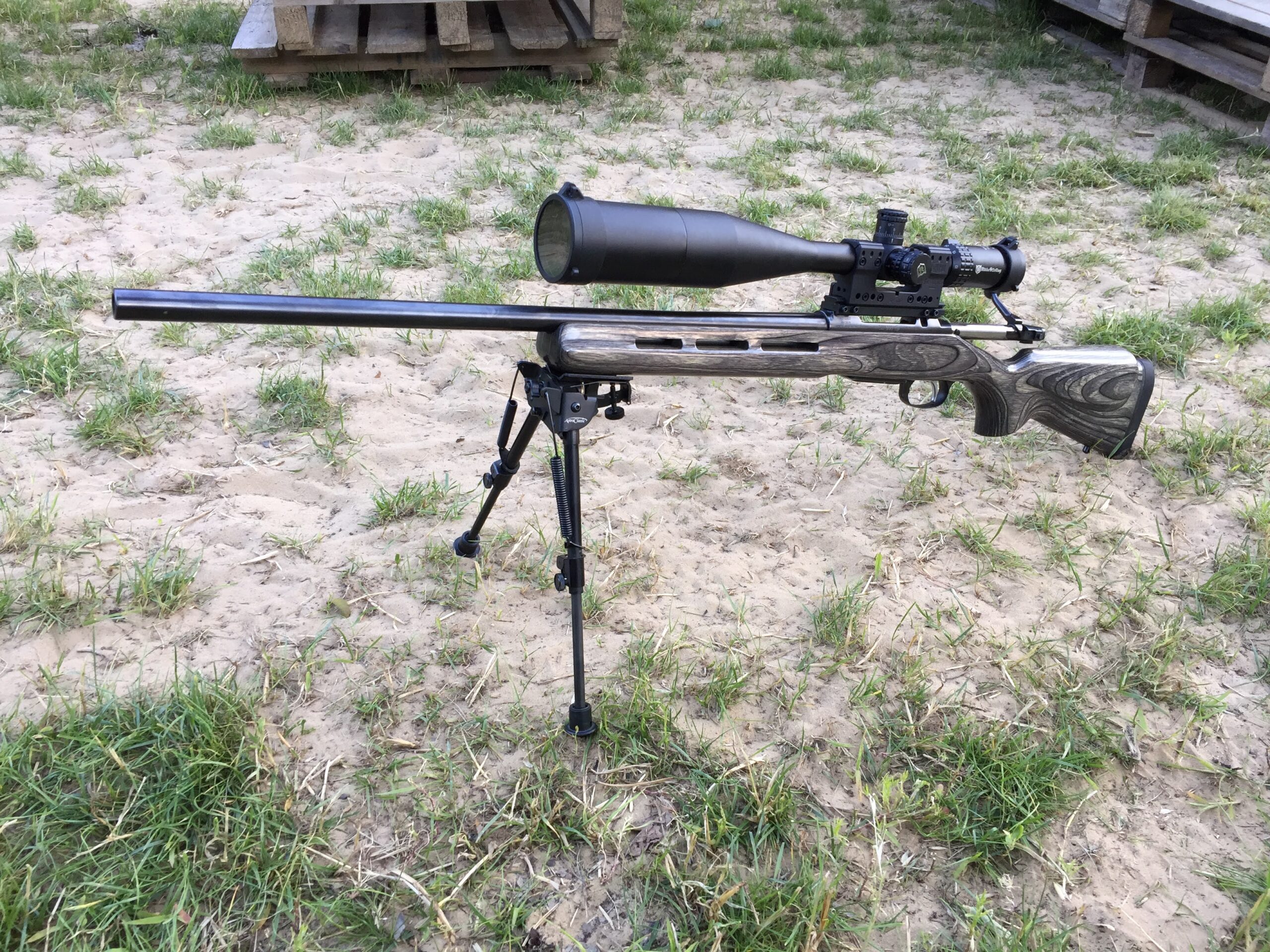 CZ 550 Varmint Laminated .308 Win